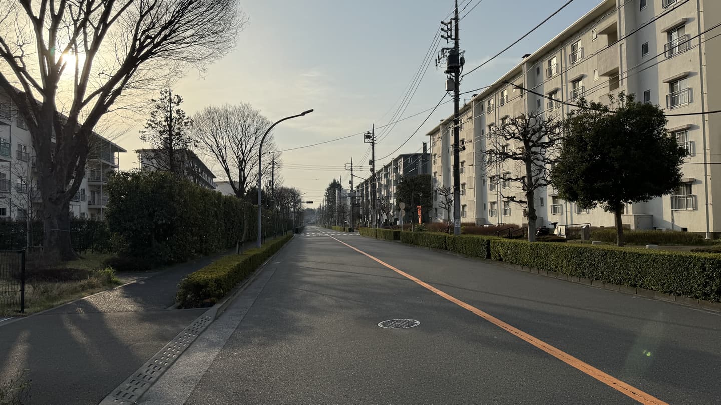 木々が並ぶ神代団地周辺の車道